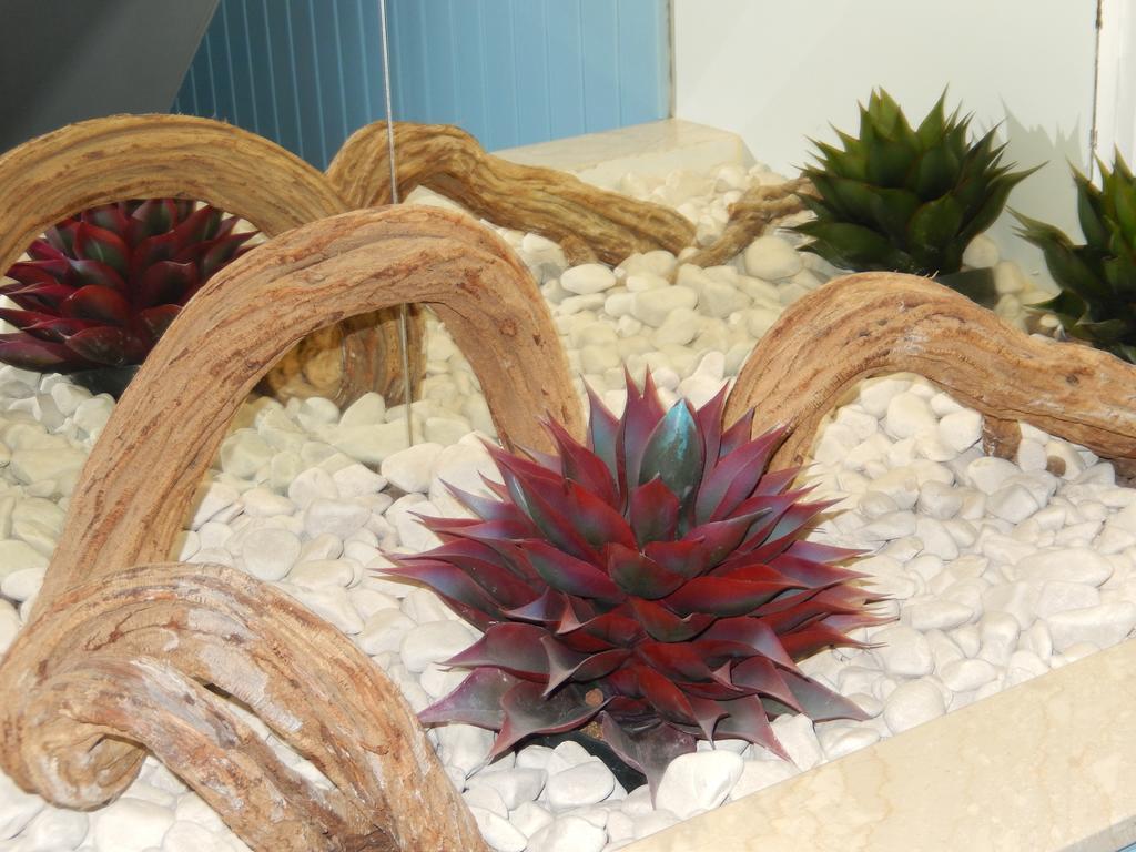 Bed & Breakfast Bella Giulia 3*